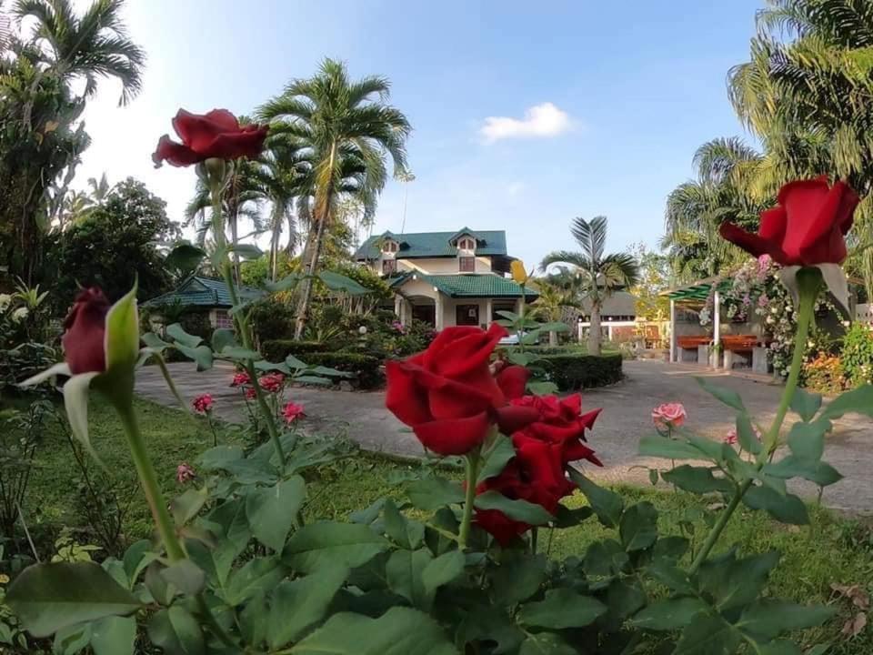 Ekman Garden Resort Sichon Esterno foto